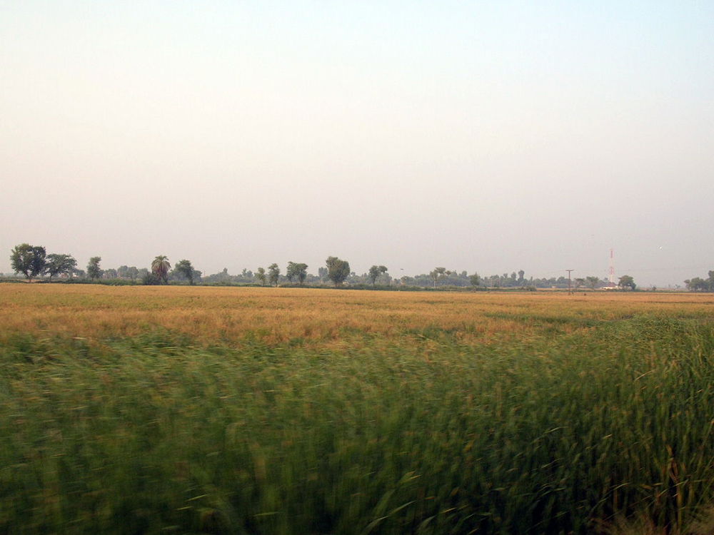 Around Jacobabad. Sindh, Pakistan.