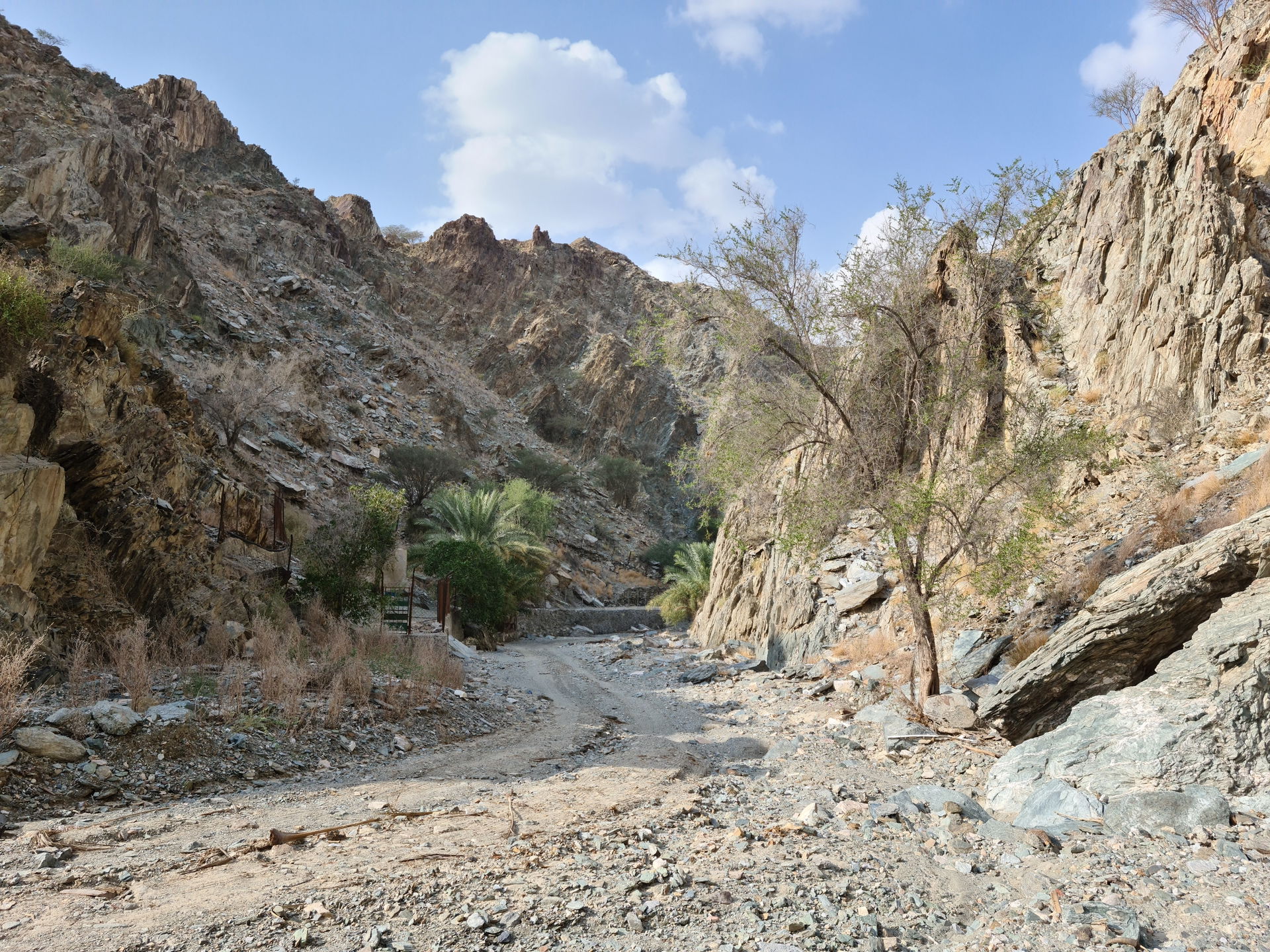 Wadi Tayyibah after rain