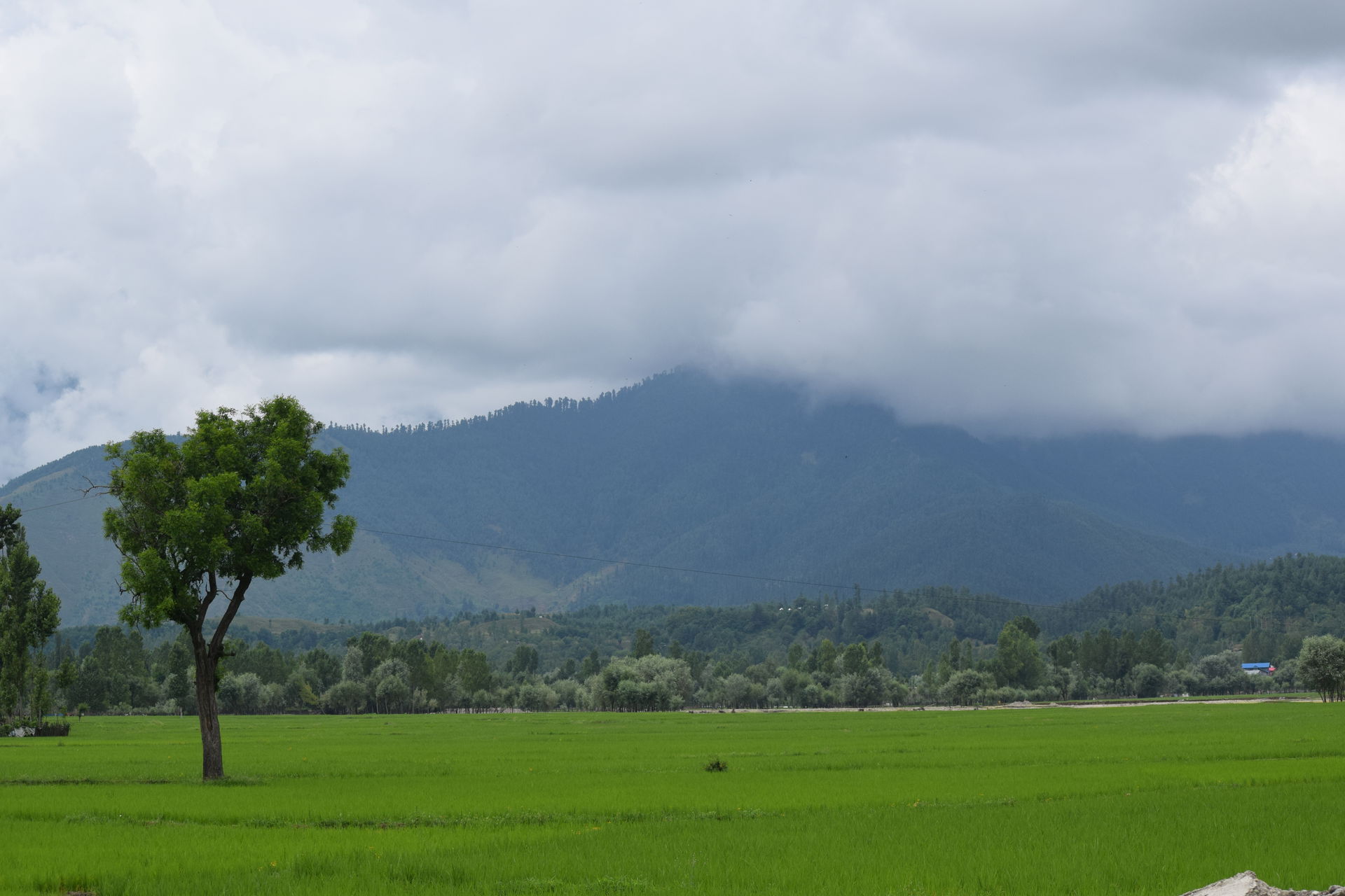 Image taken in Kupvara near Lolabvalley