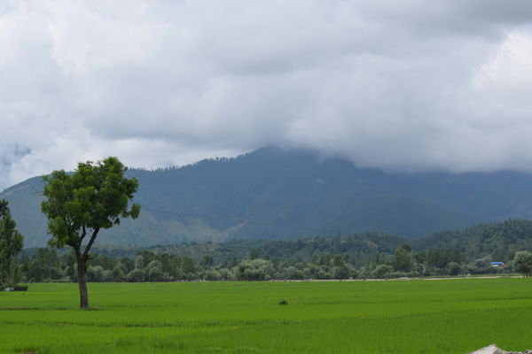 Kupwara