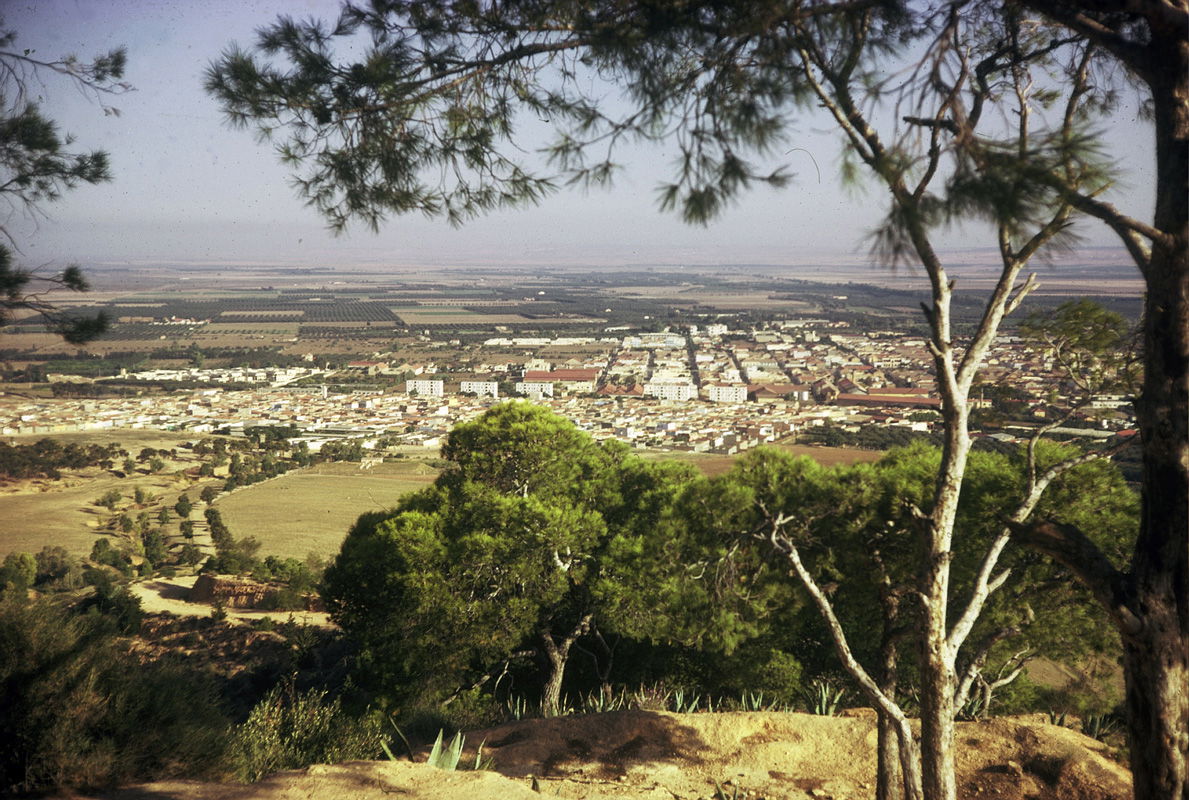 Vue de Sig (Mascara, Algérie) à partir de la pinède du Djebel b…