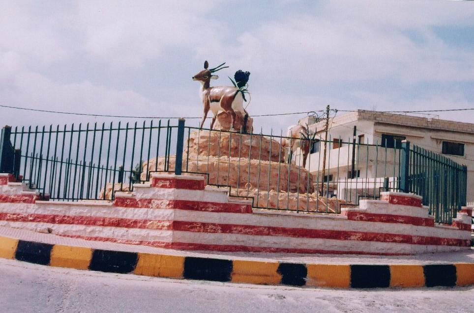 كفر راكب/دوار الغزلان