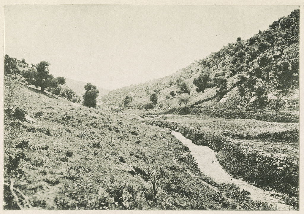 Title: Ostjordanland Reste der alten Eichenwaldungen im Wâdi Șî…