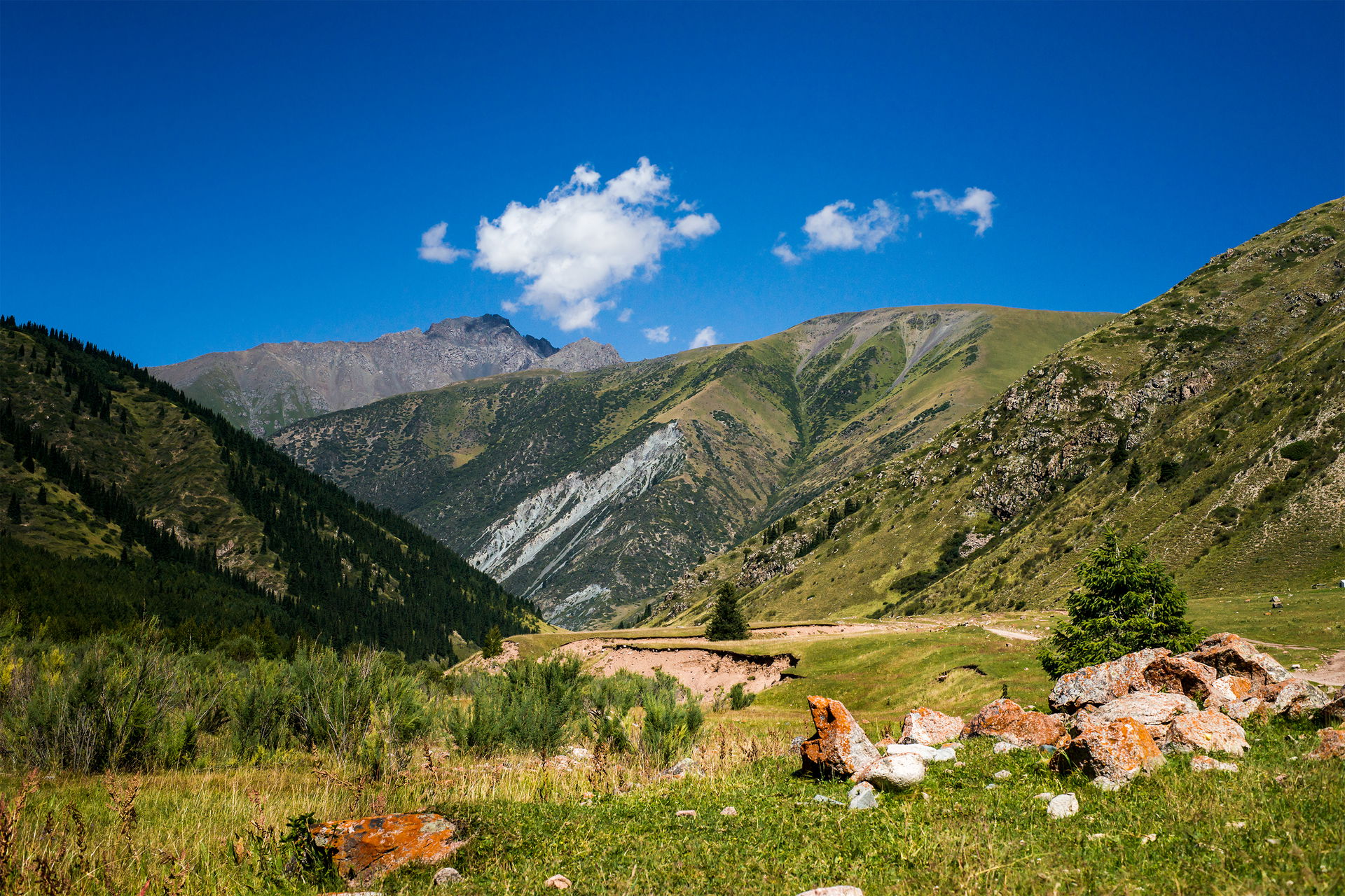 This is a photo of a protected area in Kyrgyzstan