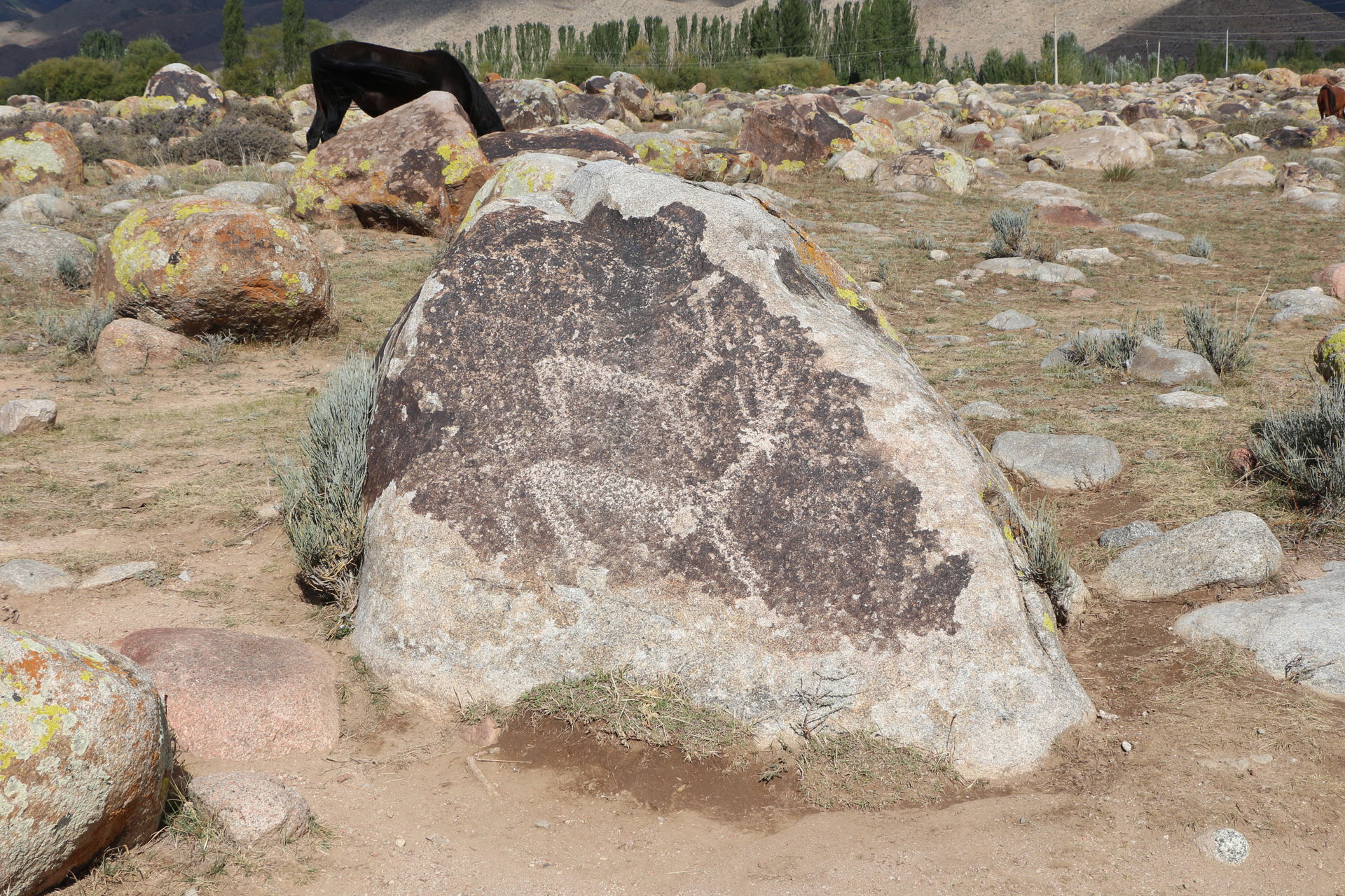 Petroglyph Museum of Cholpon-Ata, Kyrgyzstan. Petroglyphs depic…
