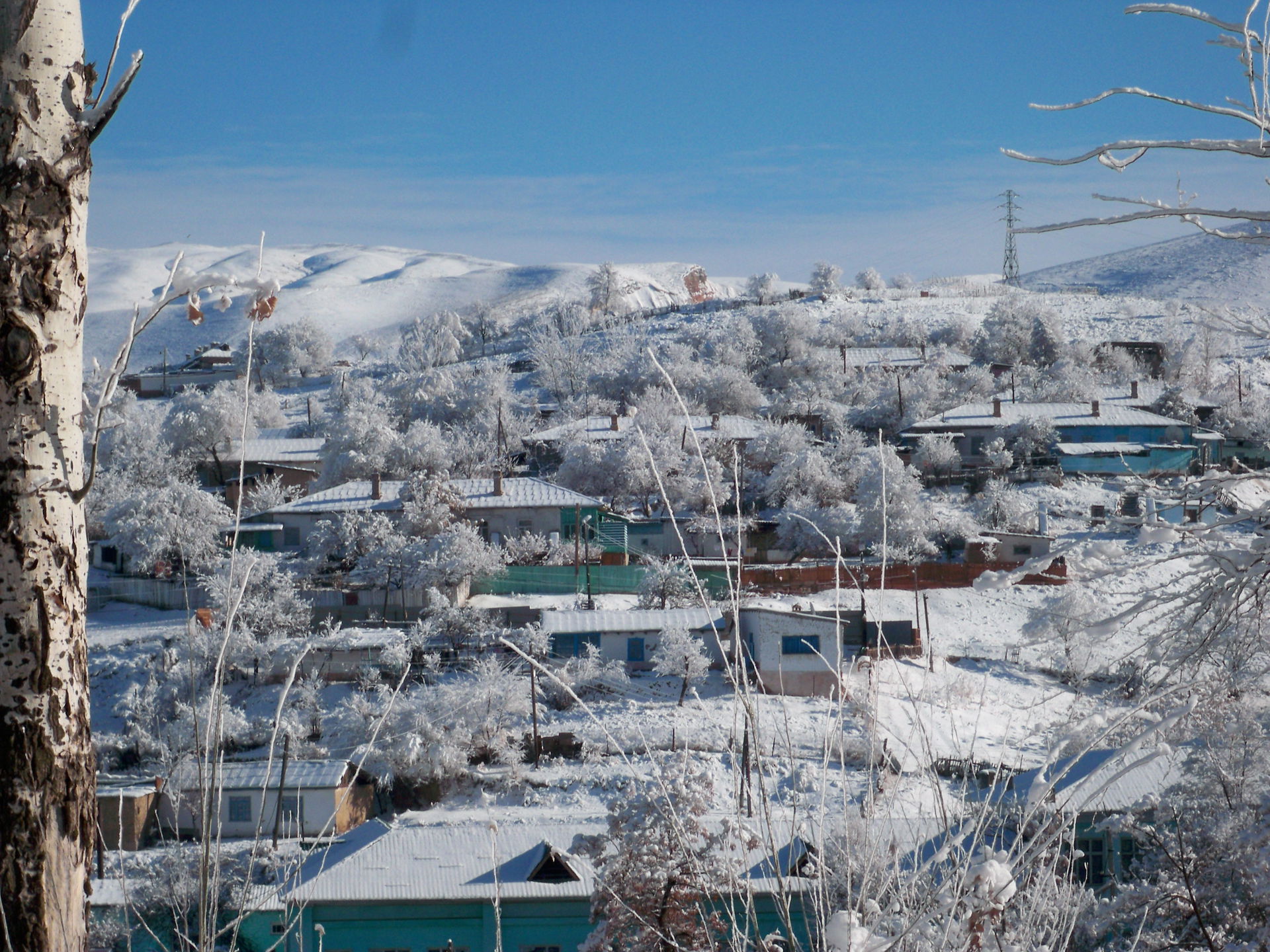 Winter in Sulukta.