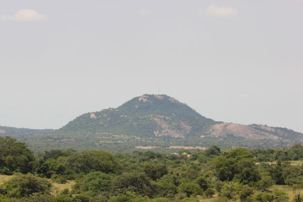 Buhera