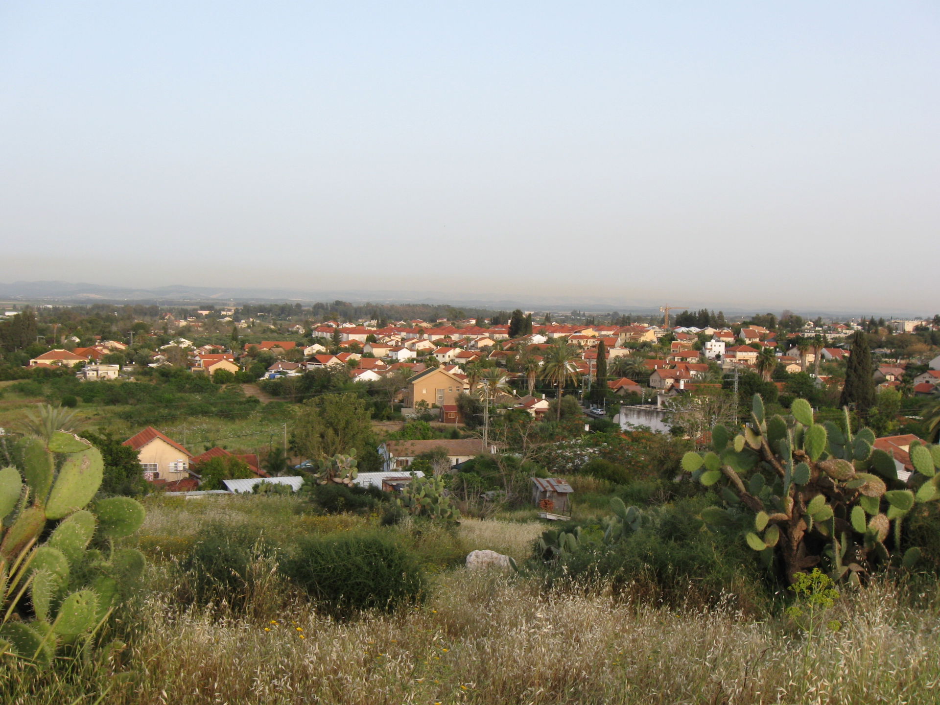 Tel Katara
