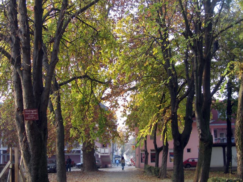 A tree-lined path the town's park and mosque (in process of reb…