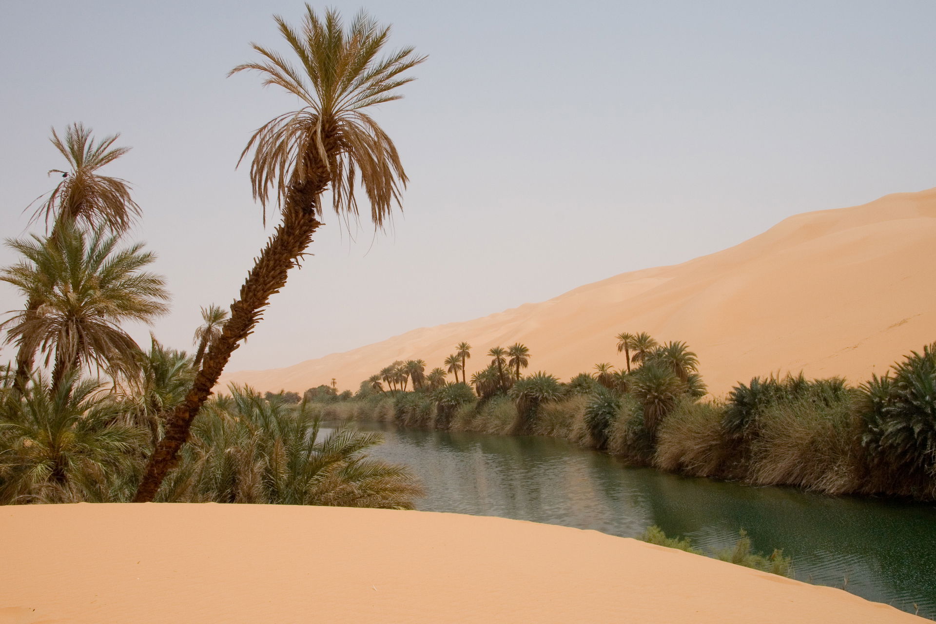 Ubari oasis - with lakes in Erg Awbari (Idehan Ubari) in the Sa…