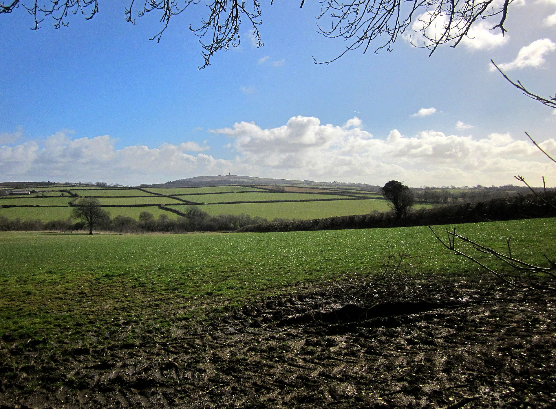 Field north of South Hill