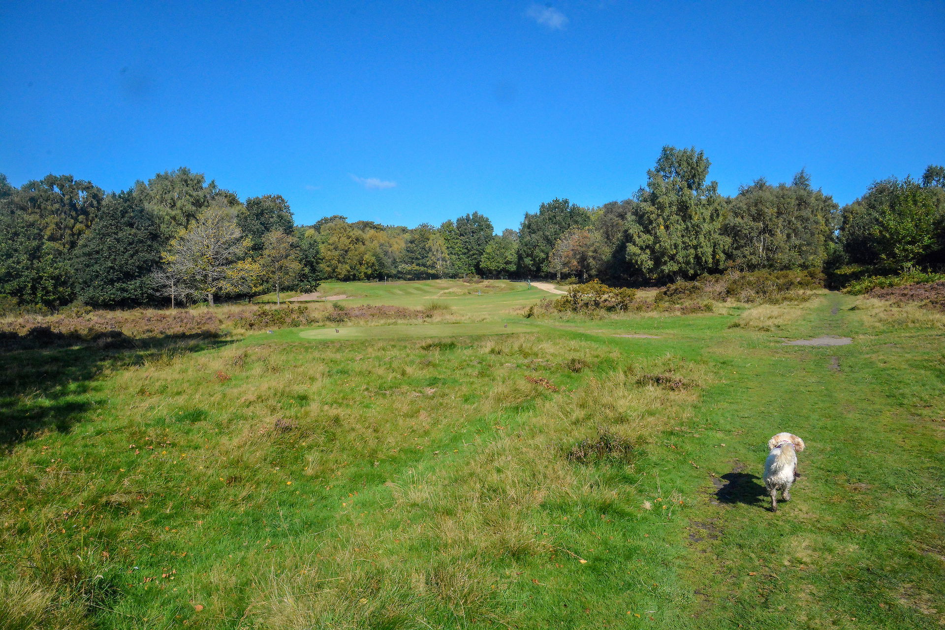Sutton Coldfield : Sutton Coldfield Golf Club