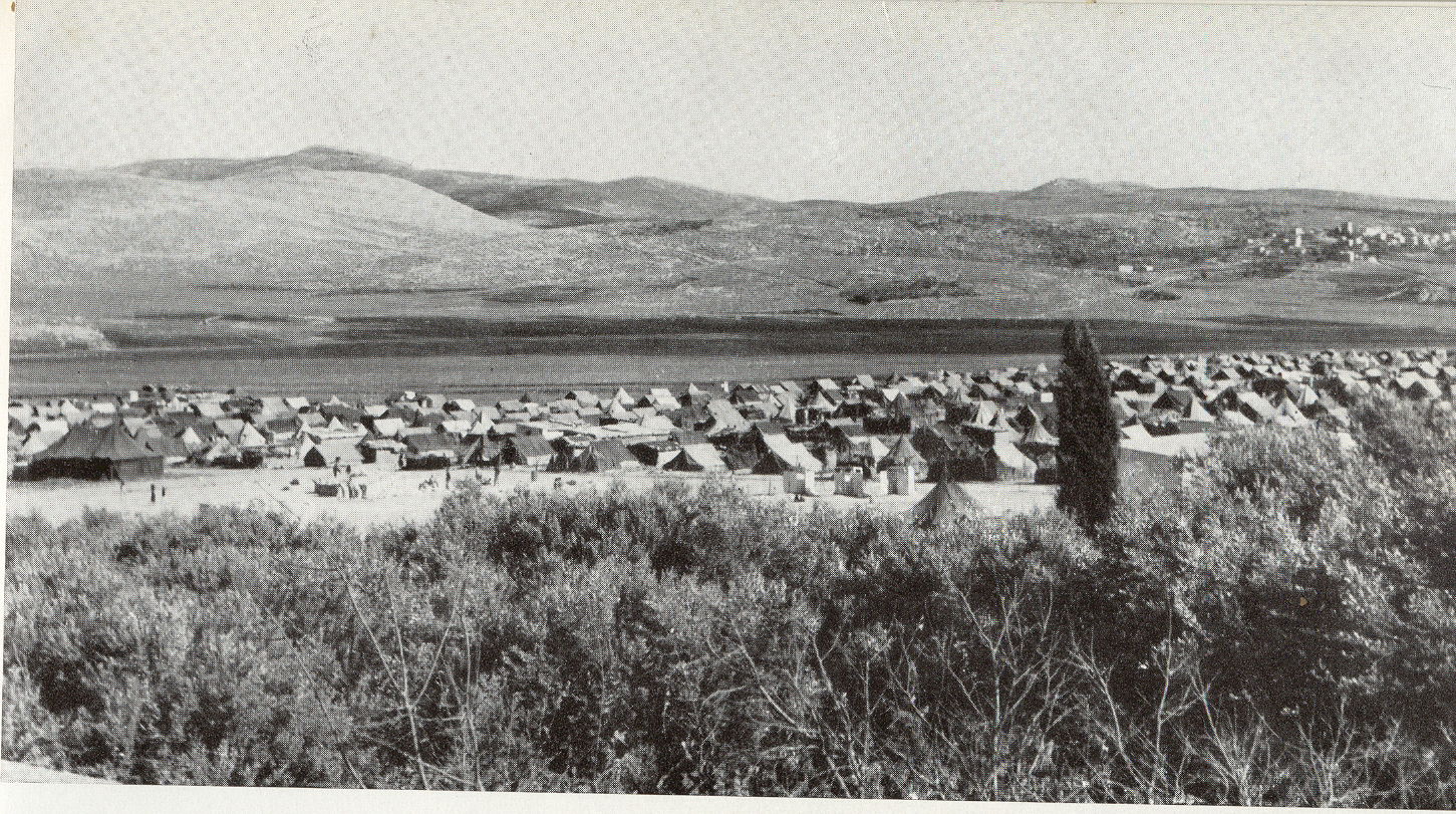 Balata refugee Camp. Circa 1950. Picture caption: "Arabiskt fly…