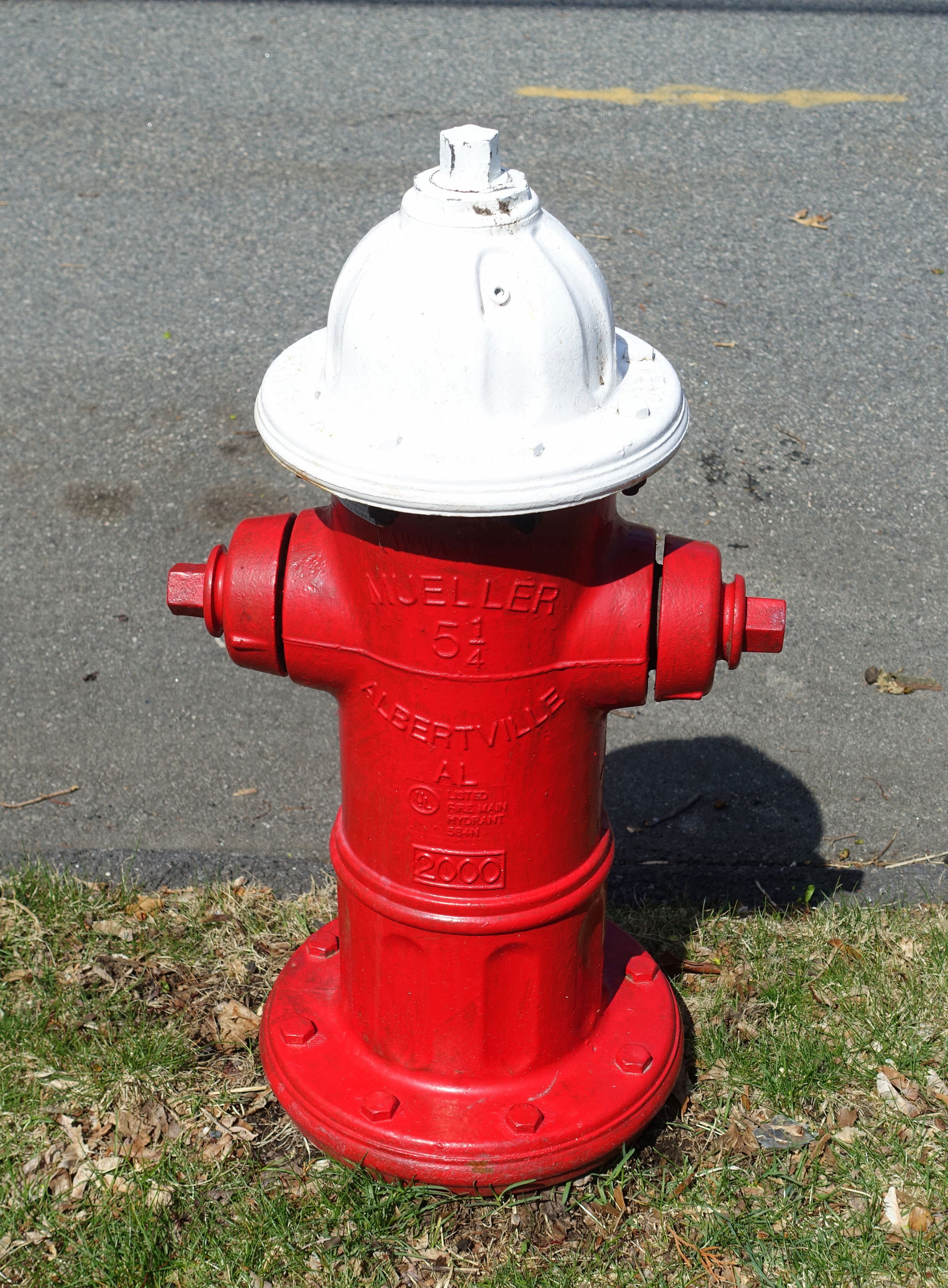 Fire hydrant in Arlington, Massachusetts, USA.