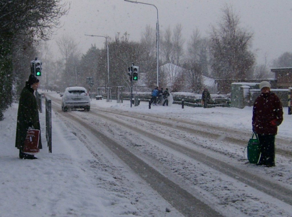 Near San Carlos School, Leixlip, Co. Kildare