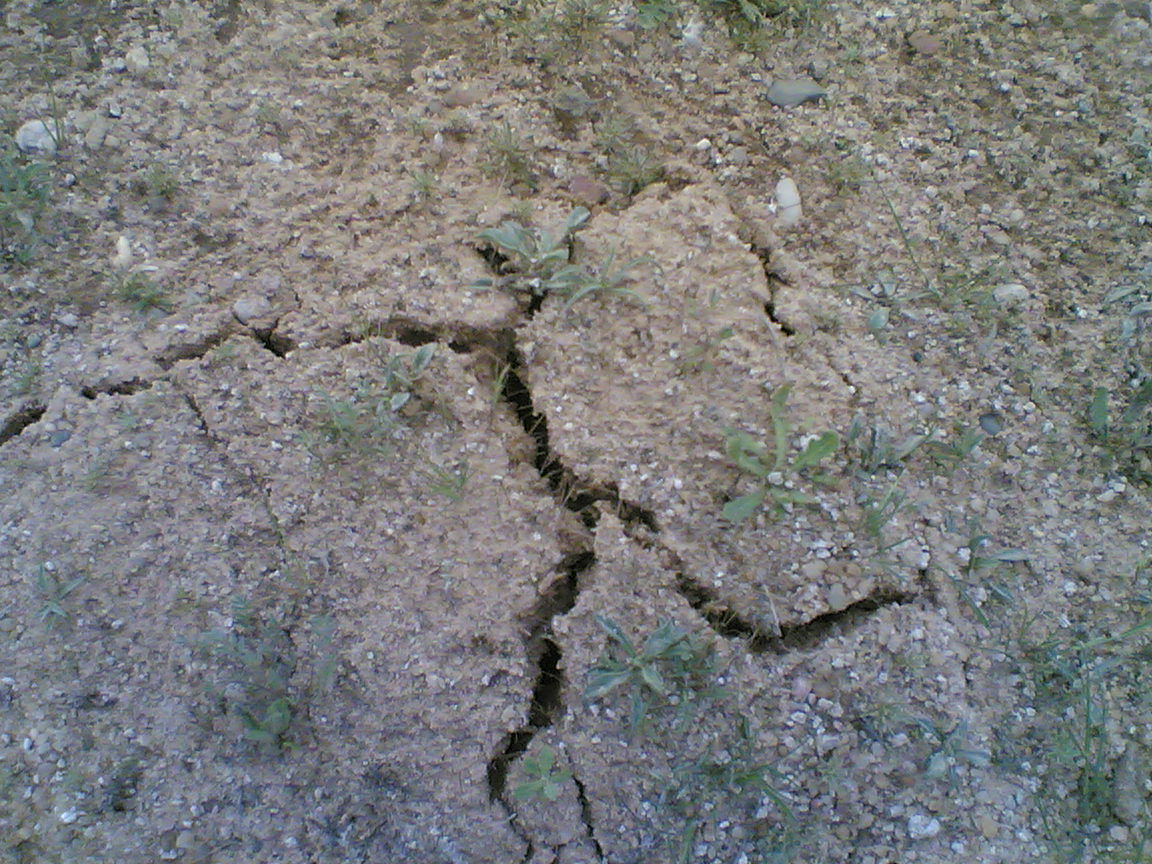 Hafar Al-Batin is rich of Truffles.