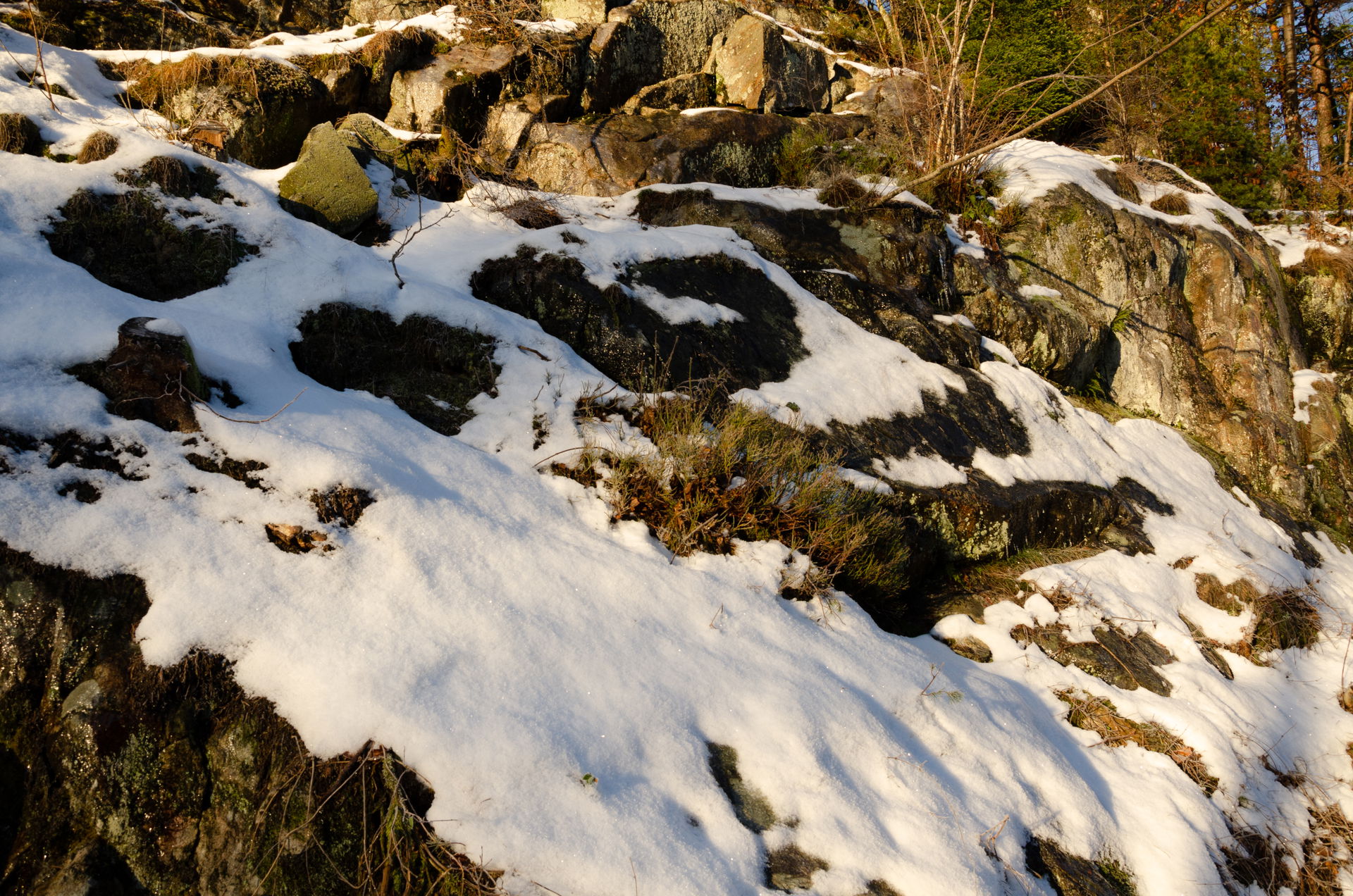 Snowy hillside in Risør.