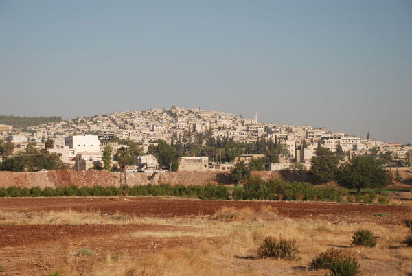 'afrin