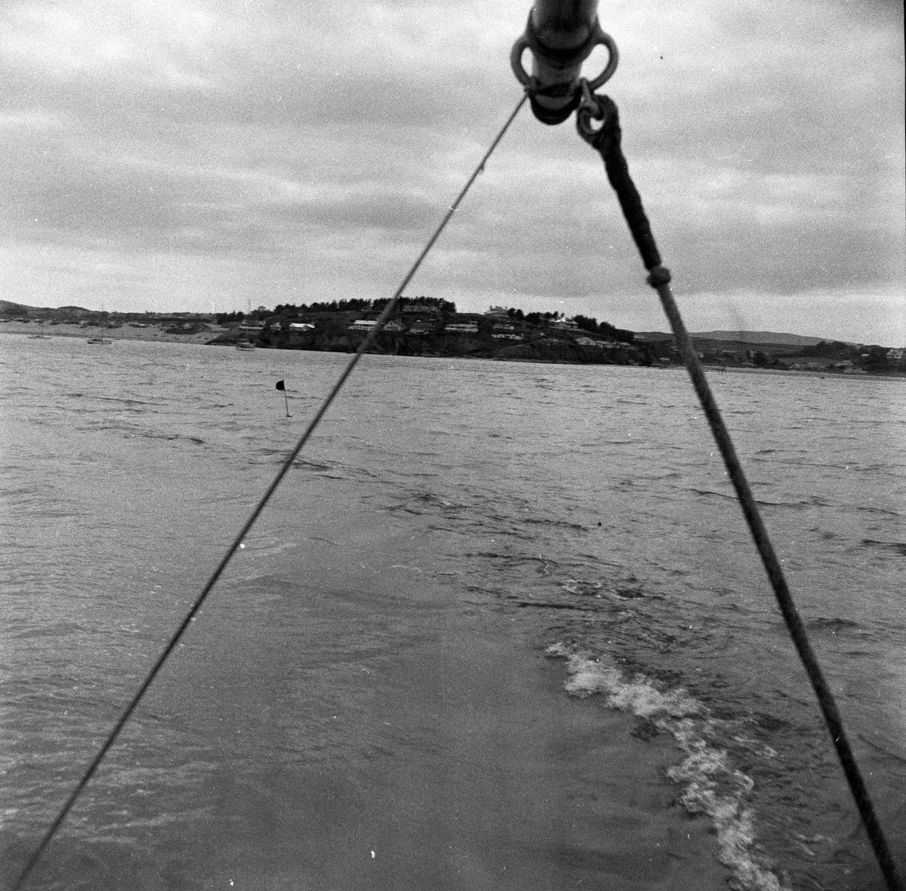 On the trail of the lobster in Abersoch