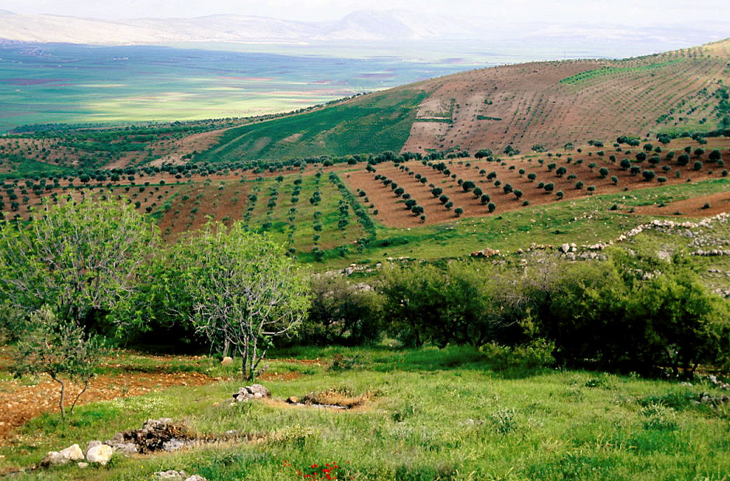 Countryside of Ariha, Idlib, Syria