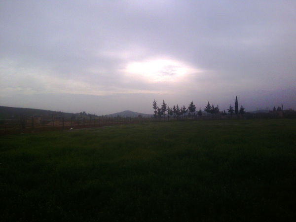 Darayya