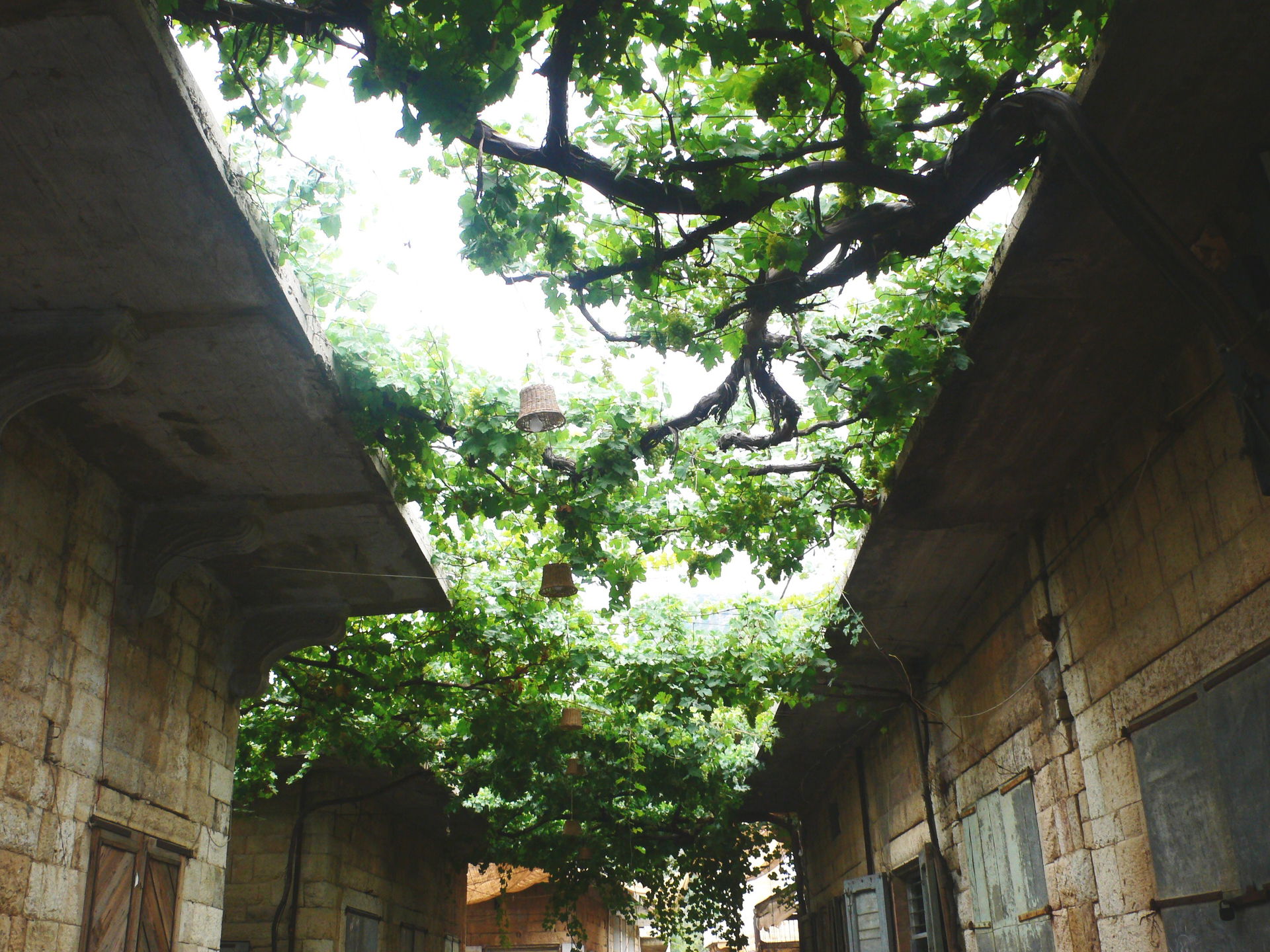 Douma en 2009
