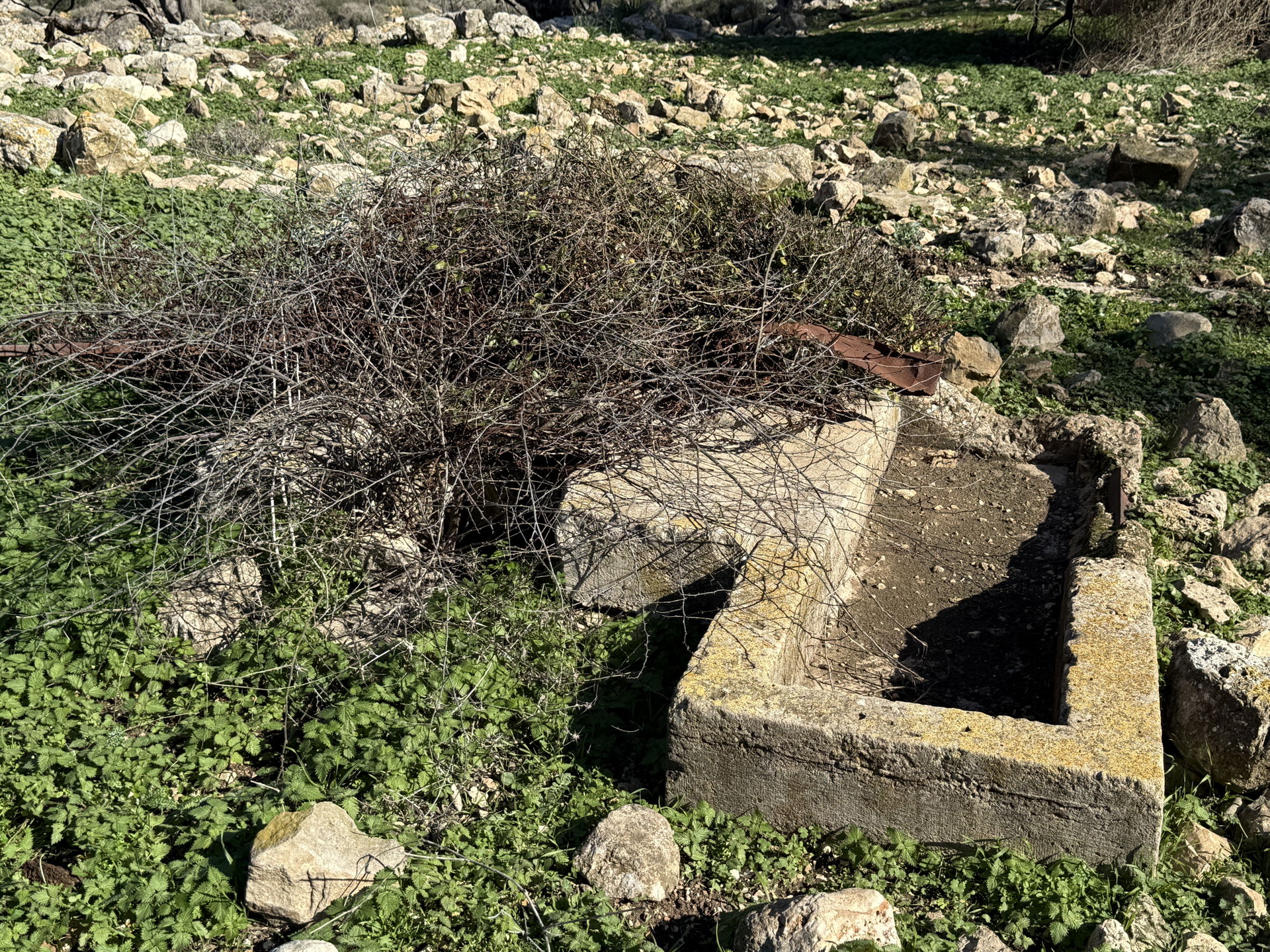 Name: Horbat Irav-Irbin on the Adamit RidgeDescription: A hill …