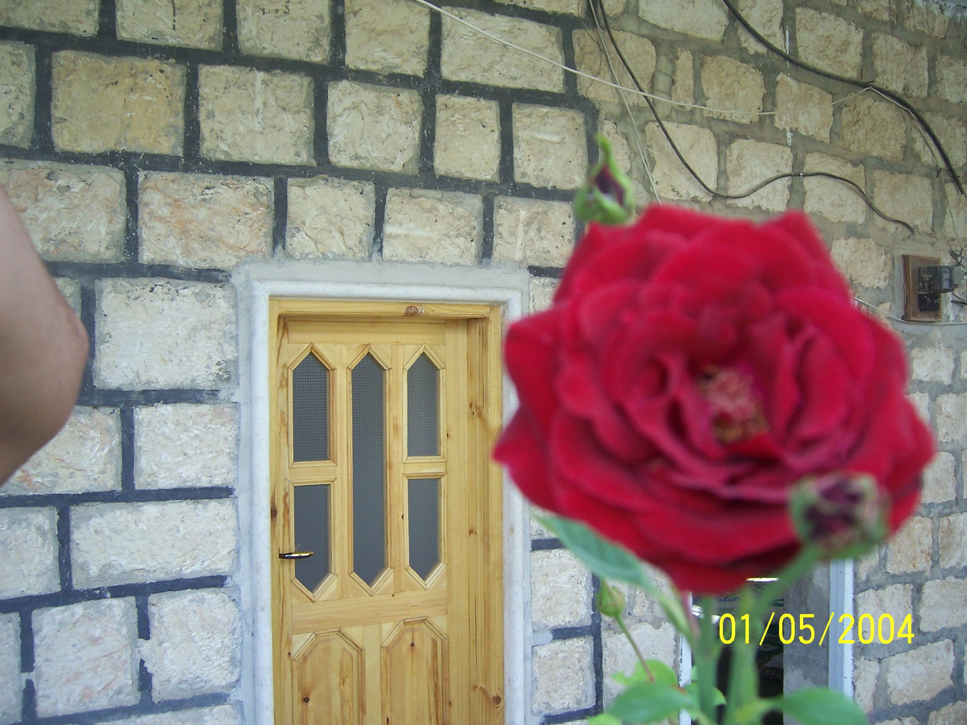 home @ syria