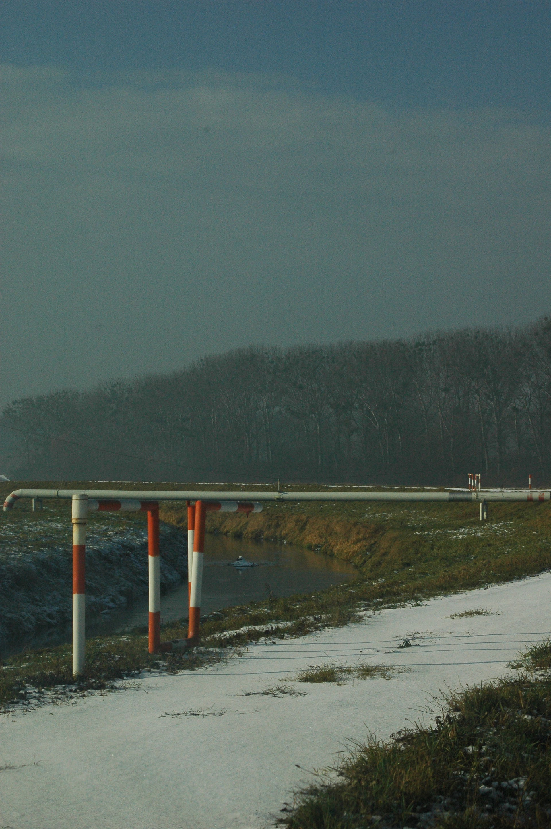 Myjava river near Austrian border, Slovakia
