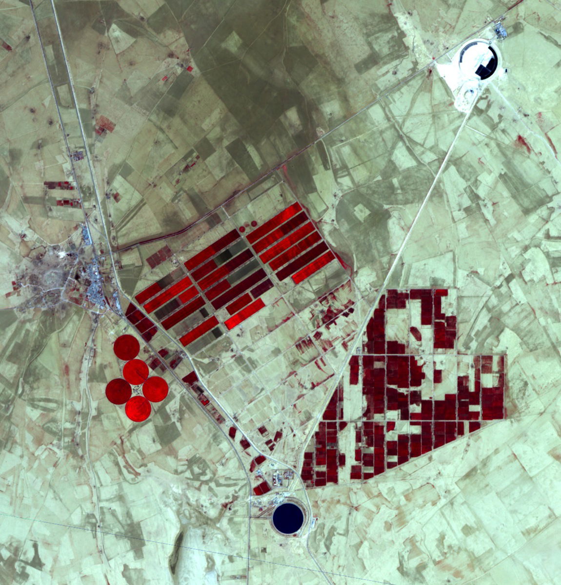 False-color ASTER image of the w:Grand Omar Mukhtar reservoir, …
