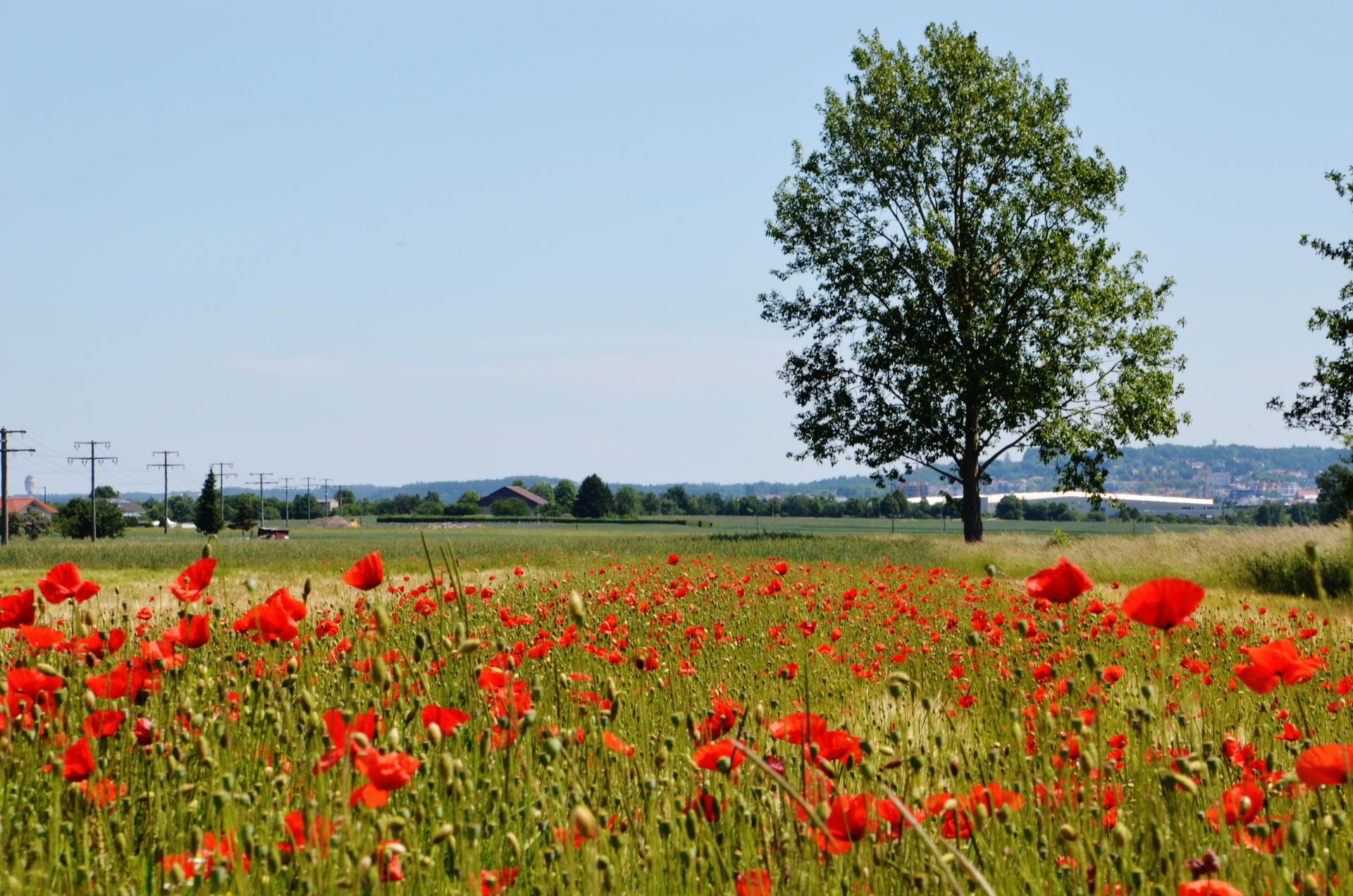 Blick Richtung Osten