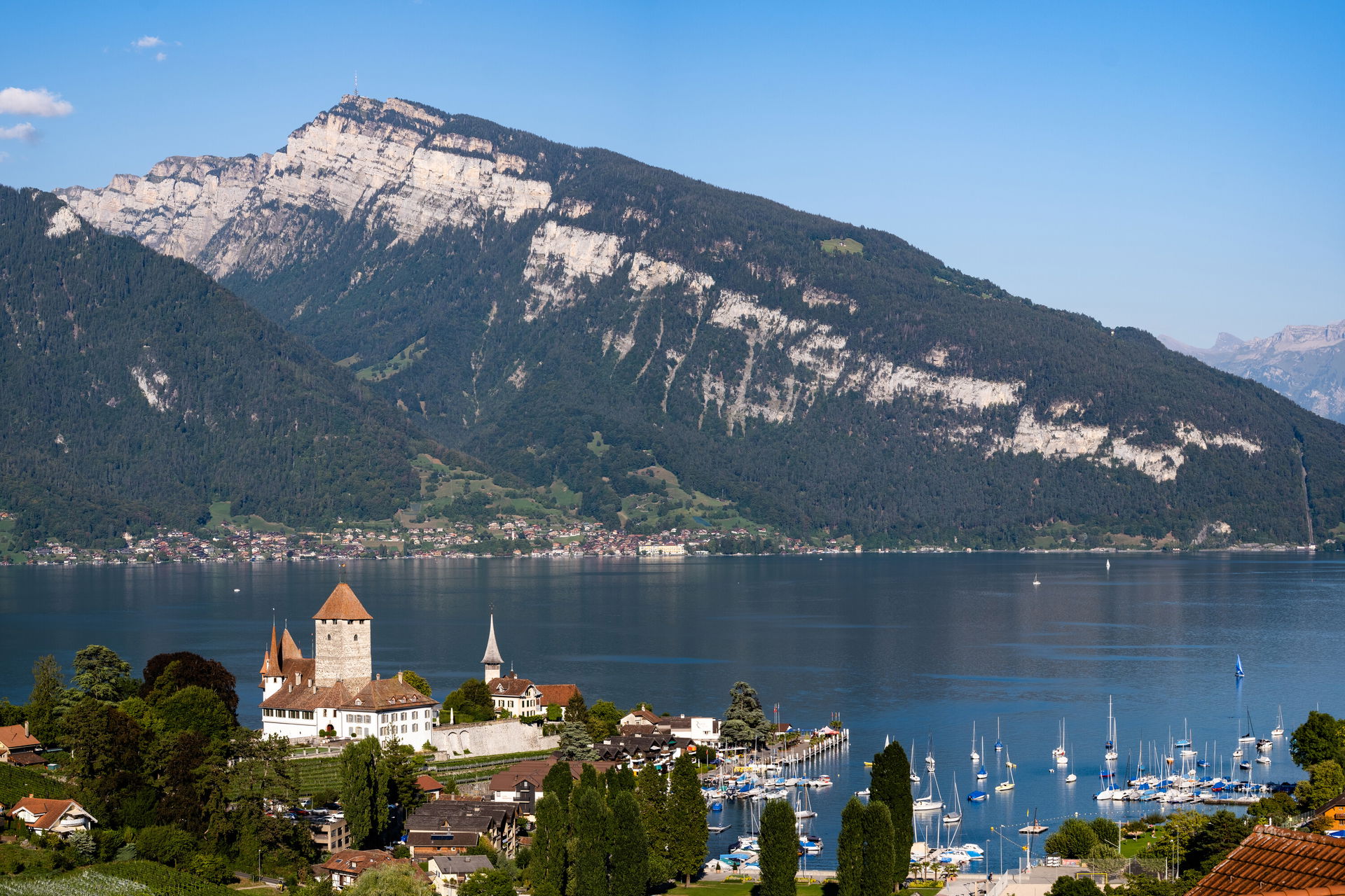 Le château et le port de Spiez, au bord du lac de Thoune.