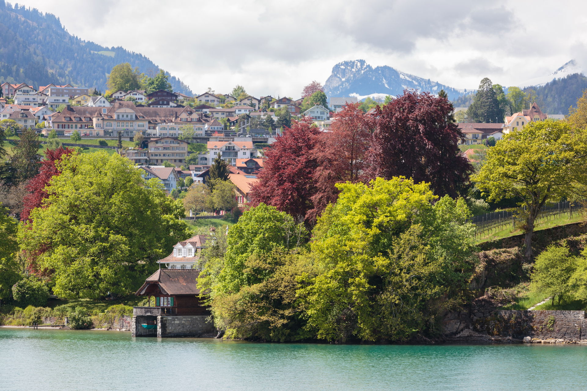 View from the Lake Thun to Spiez with the BLS railway station