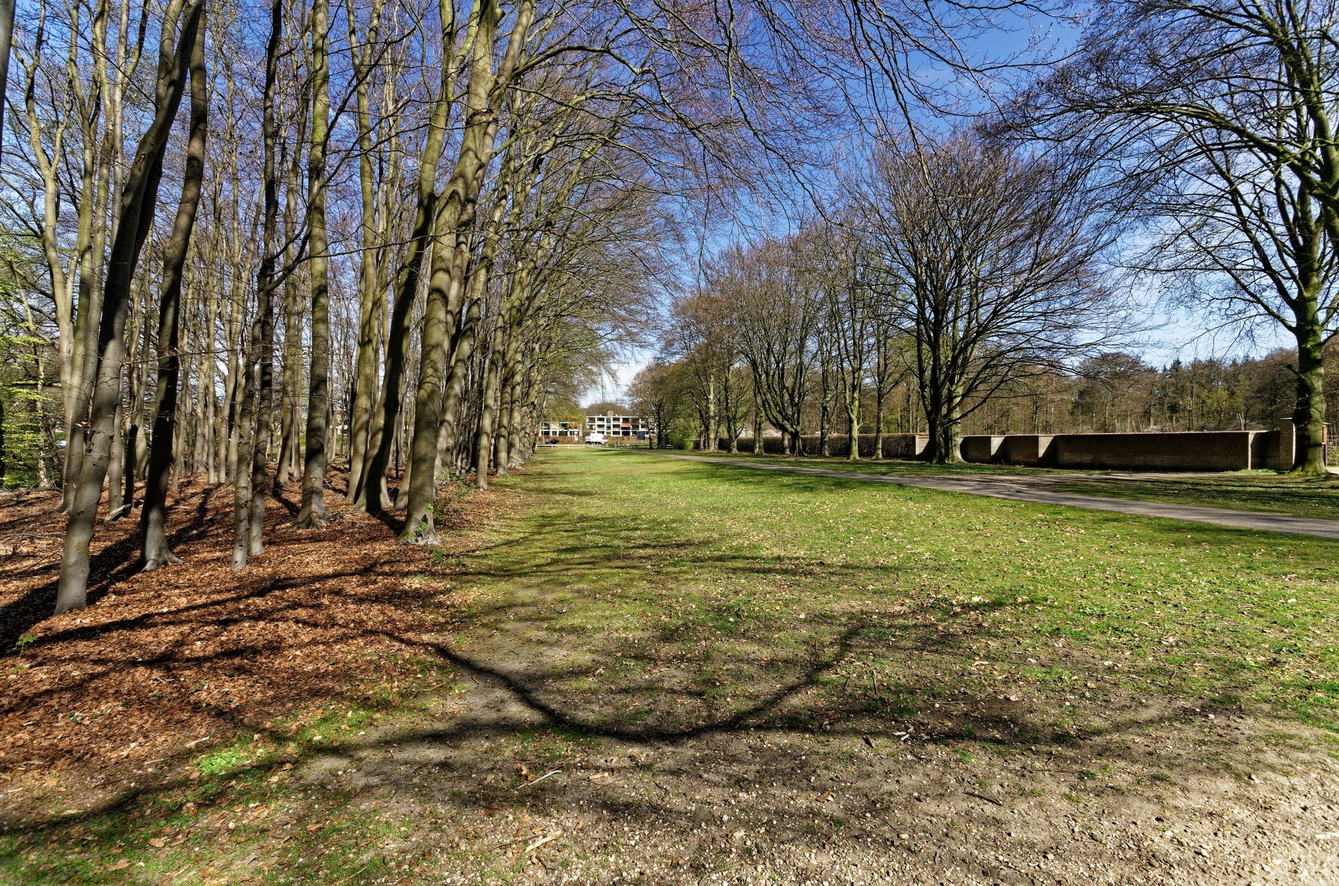 Baarn - Groeneveld - View East towards Baarn