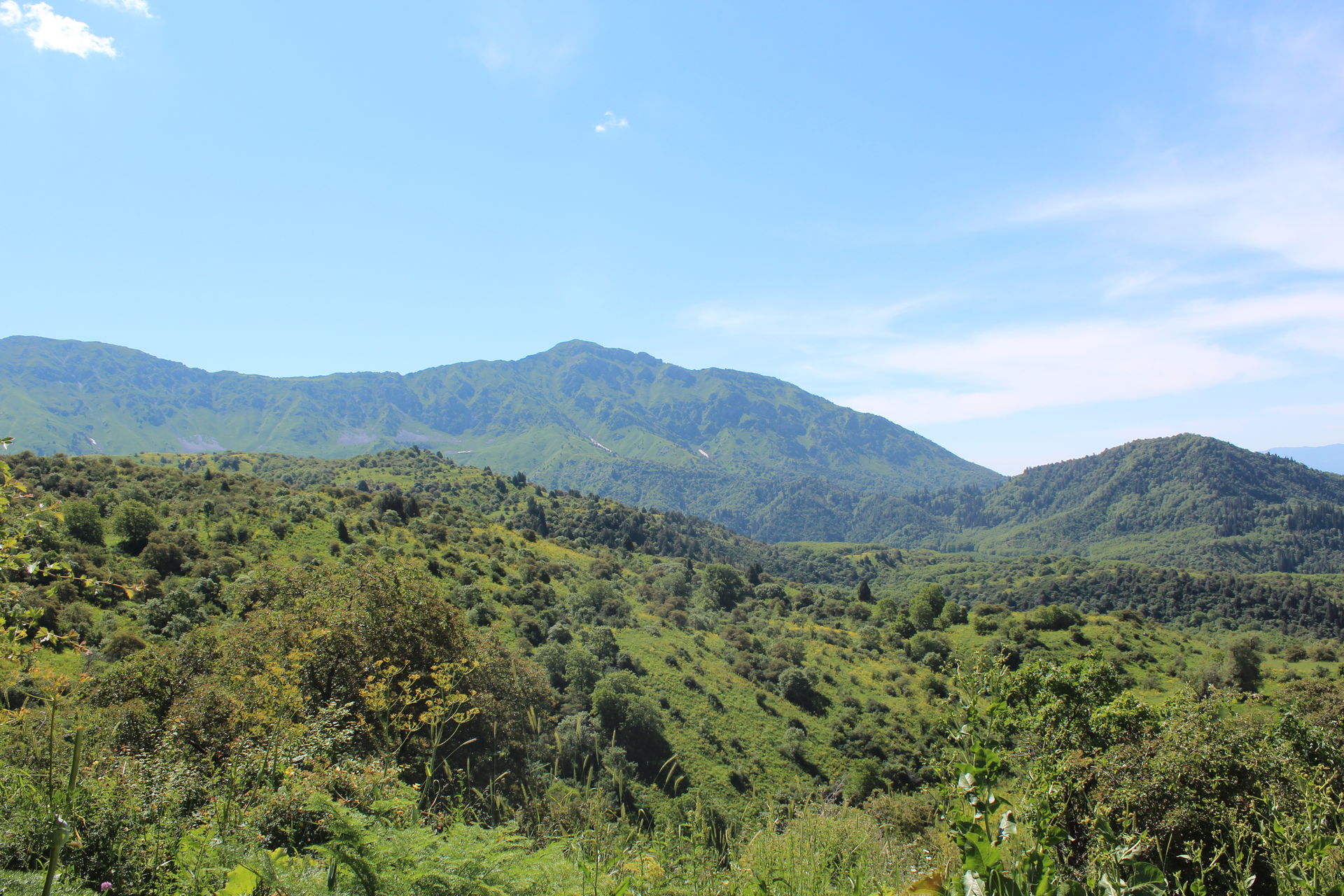 This is a photo of a protected area in Kyrgyzstan