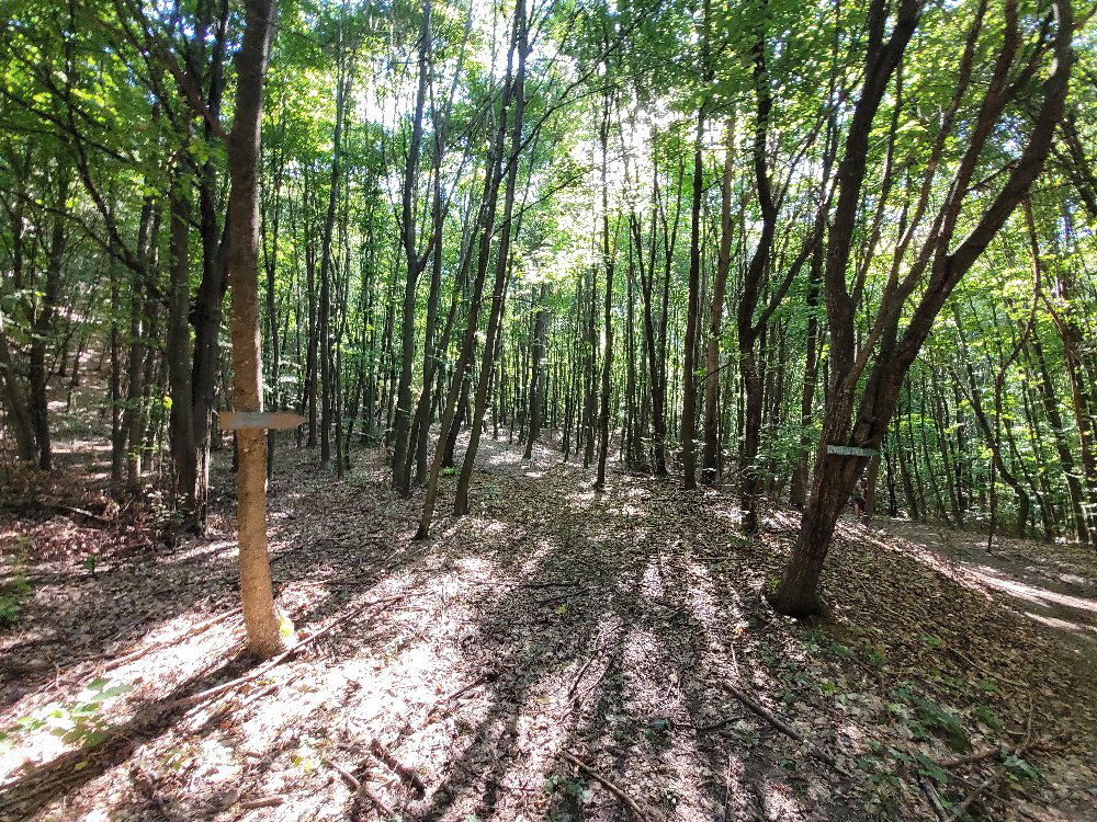 Valea Turcului din orașul Ștefănești, județul Argeș