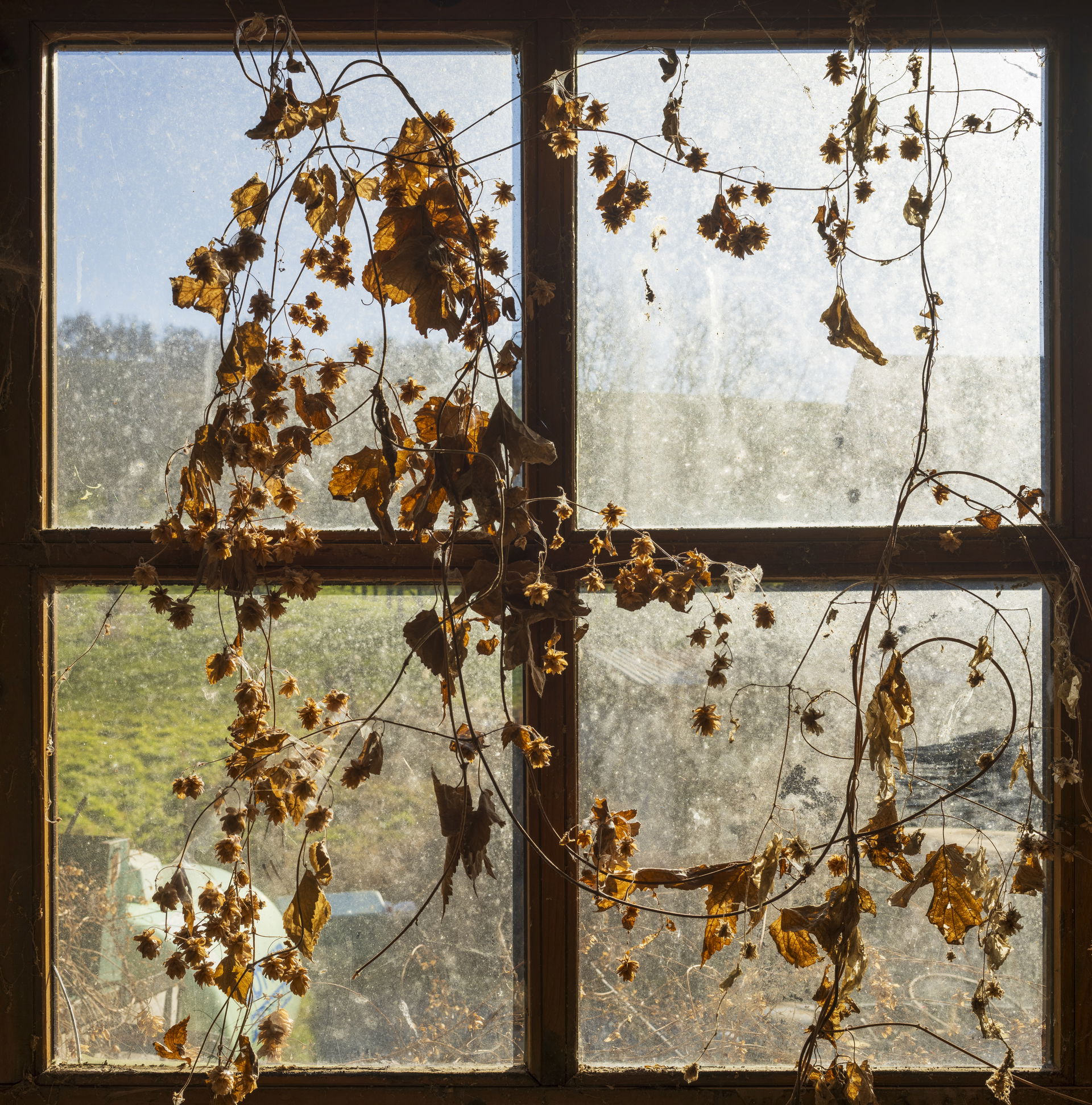 Window in a former joinery workshop in Billensbach, Beilstein, …