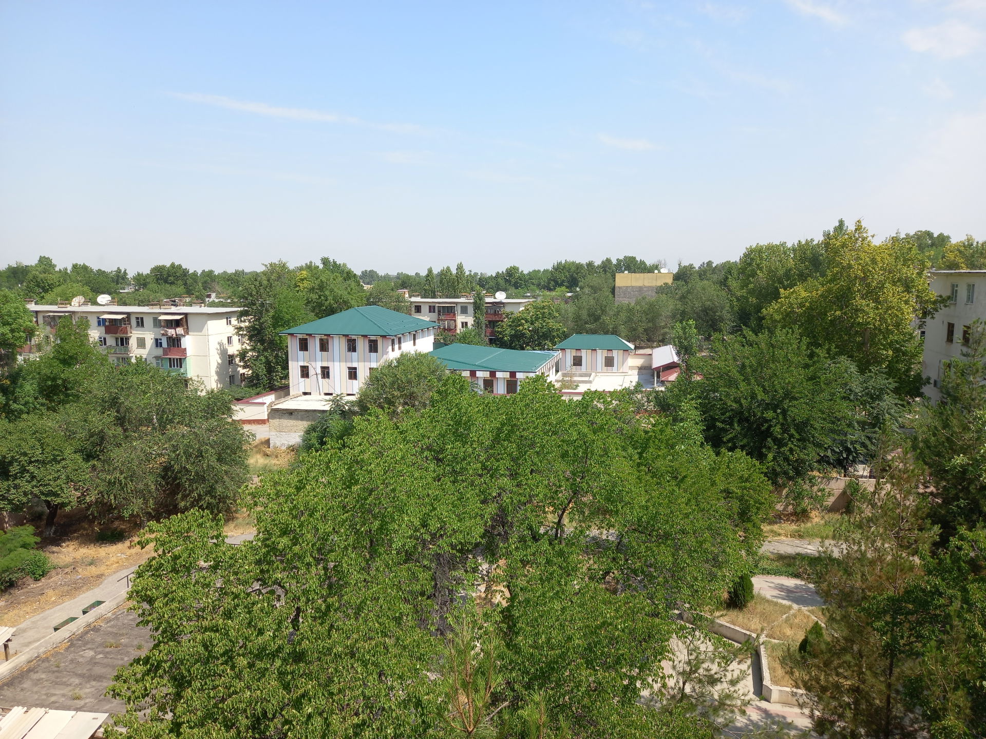 Fargʻona shahrining Qirguli dahasi