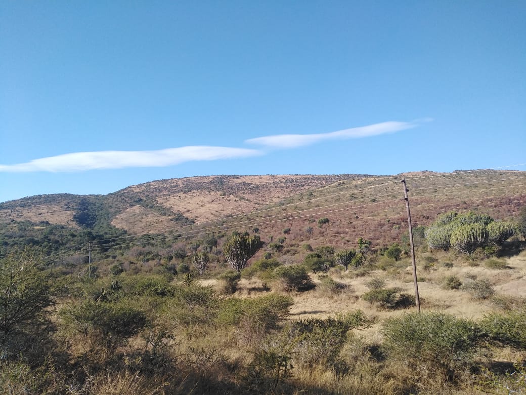 Burgersfort is arranged in the Sekhukhune area of the Limpopo P…