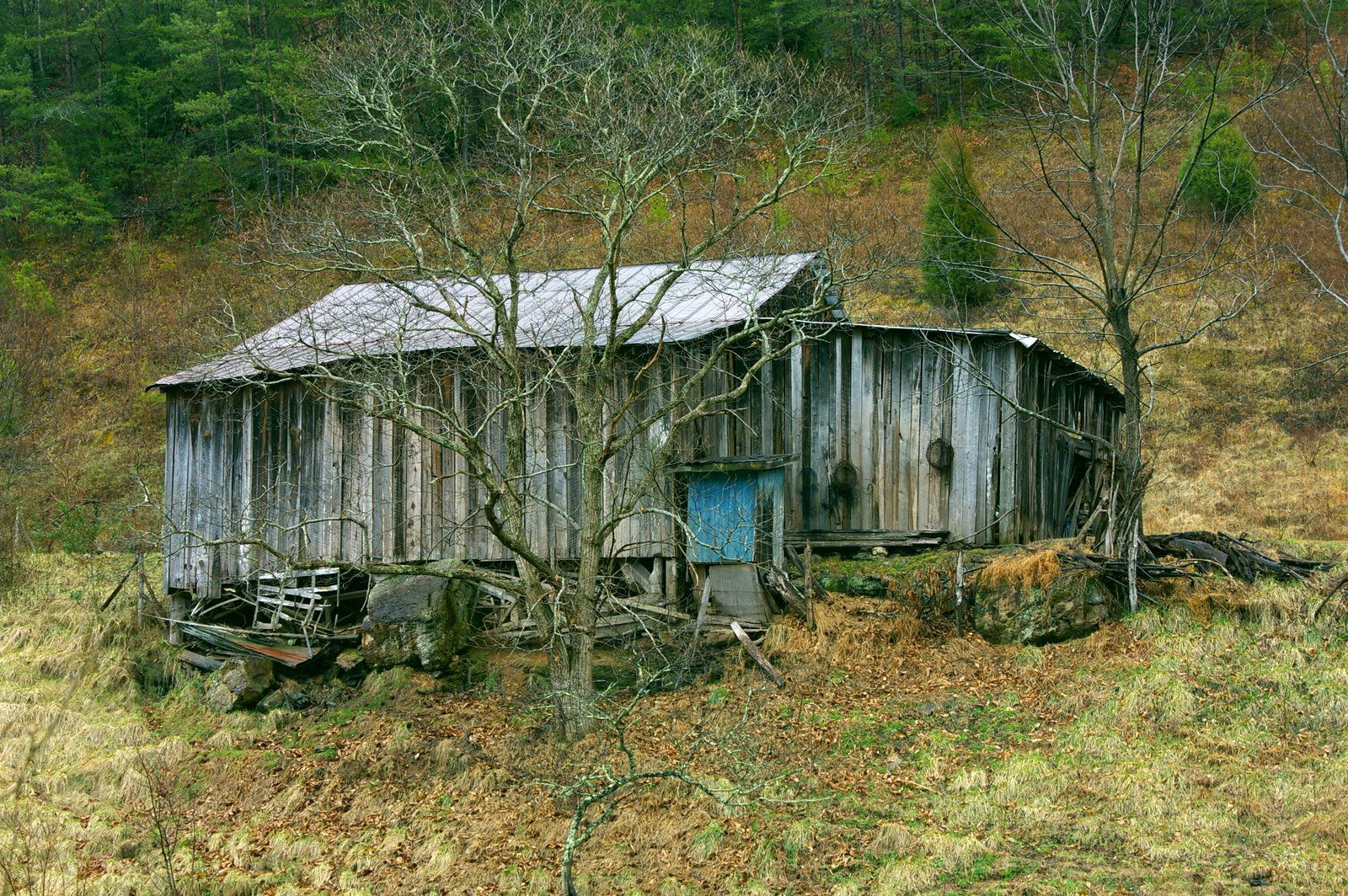 Shack in Pigeon Forge, Tennessee USA