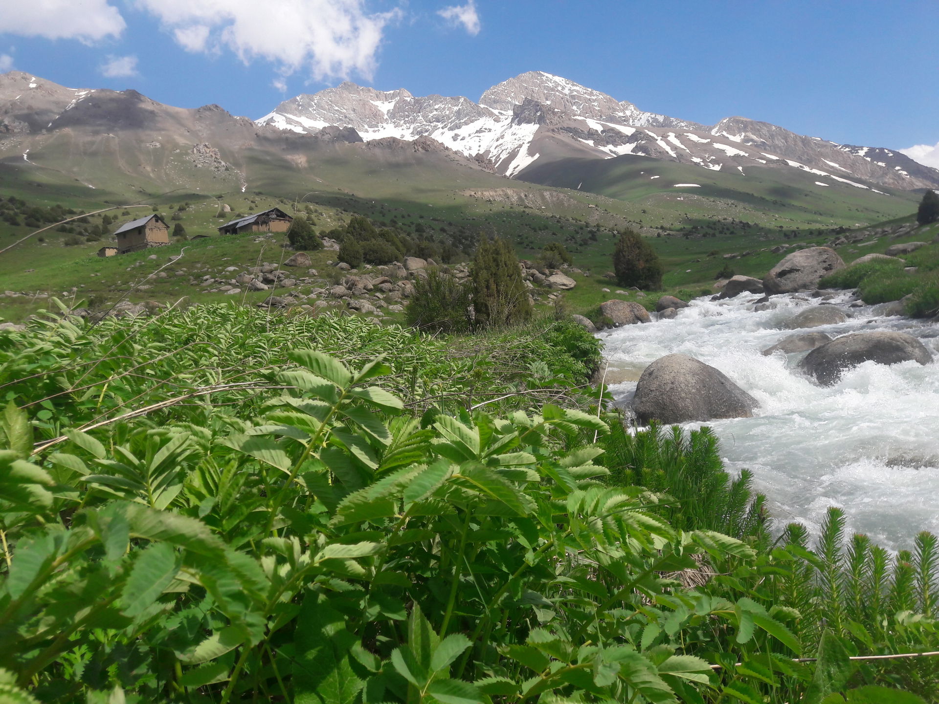 This is a photo of a protected area in Uzbekistan