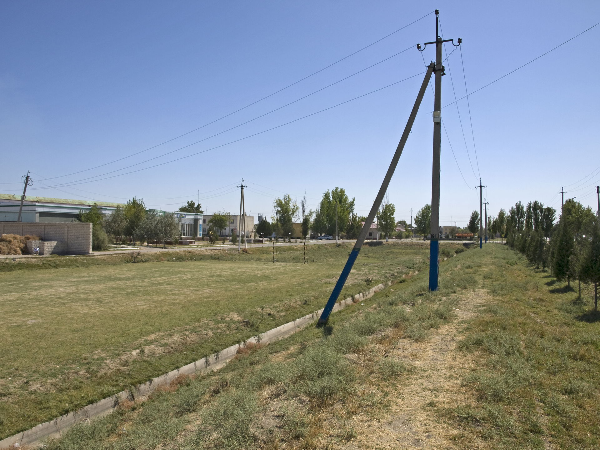 Fields in the northern part of Sirdaryo, Uzbekistan