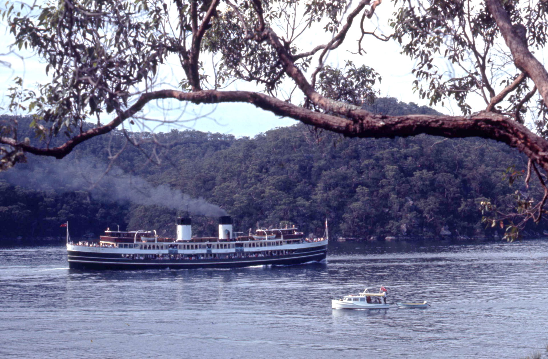 Sydney Ferry SOUTH STEYNE ocean cruise to Cottage Point in Brok…