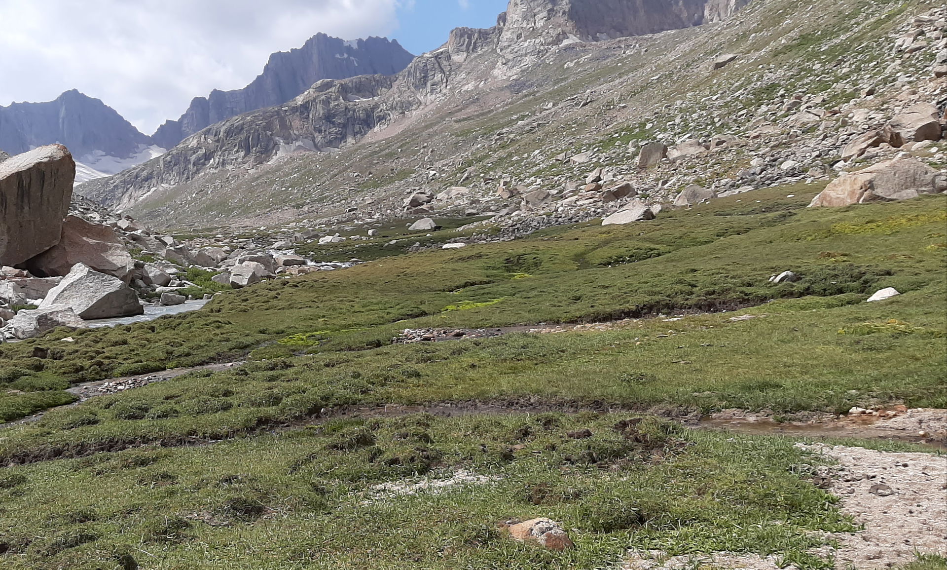 This is a photo of a protected area in Uzbekistan