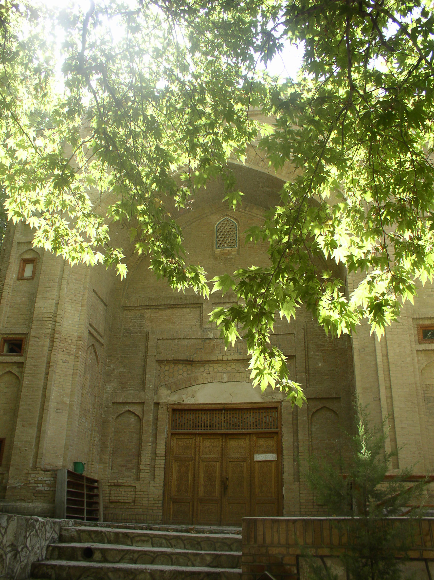 platan grove in Urgut, Uzbekistan