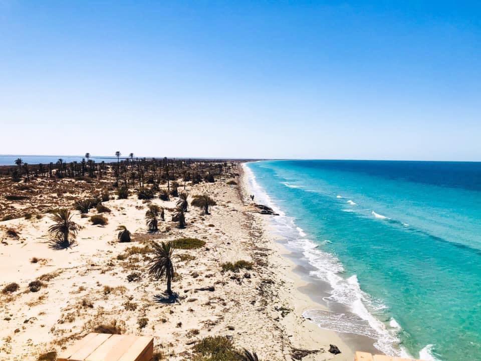 مدينة زلطن جزيرة فروة
