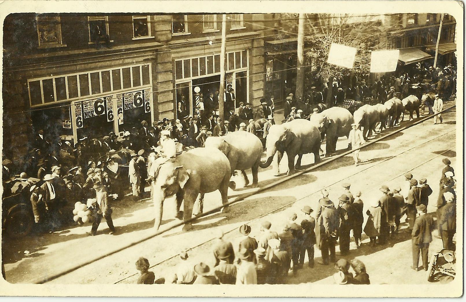 From PhC.184 Massengill Postcard Collection, August 2015 additi…