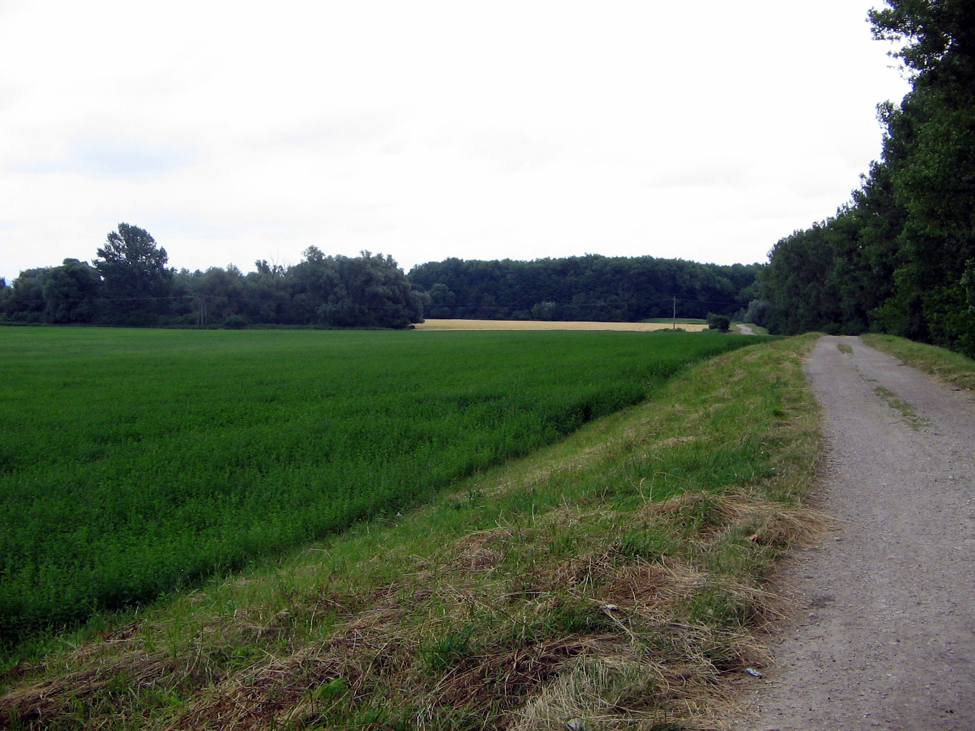 Sármellék, 8391 Hungary