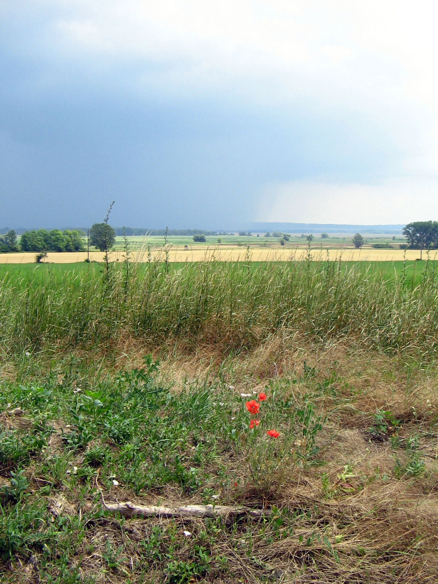 Sármellék, 8391 Hungary