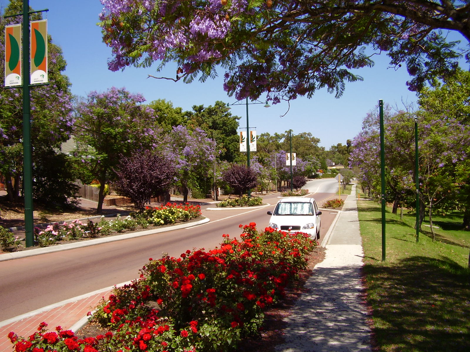 View down the top stretch of Kalamunda Road, in Kalamunda, in m…